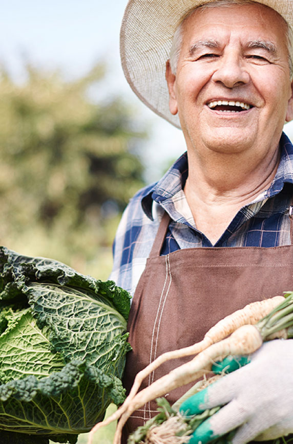 Illustration nutrition